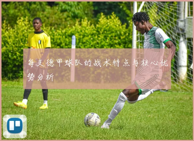 每支德甲球队的战术特点与核心优势分析