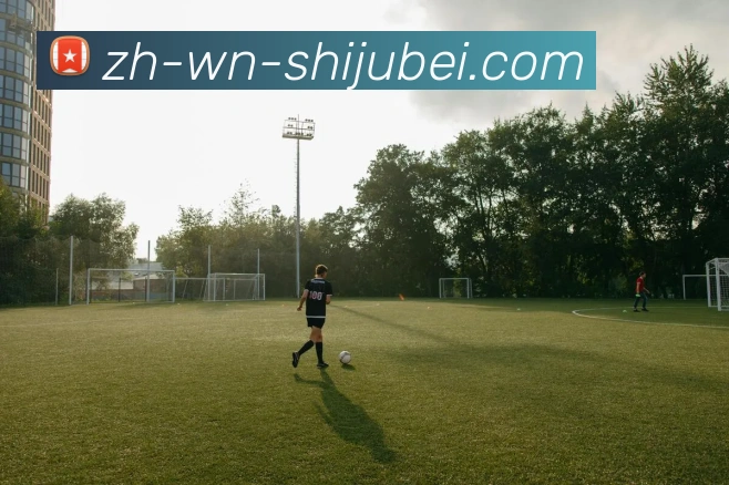 世界杯赛程表平台生态图