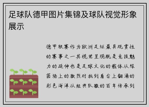 足球队德甲图片集锦及球队视觉形象展示